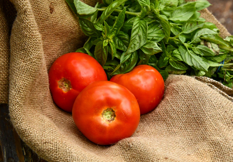 Tomates rouges posées sur une toile de jute